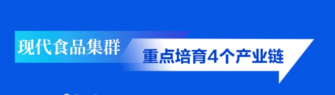 重磅！河南出台28条重点产业链行动方案